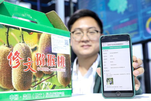 大數(shù)據(jù)賦能鄉(xiāng)村振興 貿(mào)易咨詢的新維度與實(shí)踐路徑