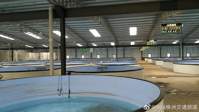 株洲首個智能魚菜共生種養(yǎng)基地首批產(chǎn)品復(fù)工出產(chǎn)，冷鏈配套助力高效保鮮