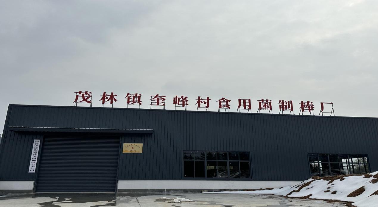 涇縣茂林鎮(zhèn) 激活特色產(chǎn)業(yè) 繪就鄉(xiāng)村振興“實(shí)景圖”——冷庫賦能產(chǎn)業(yè)發(fā)展新篇章